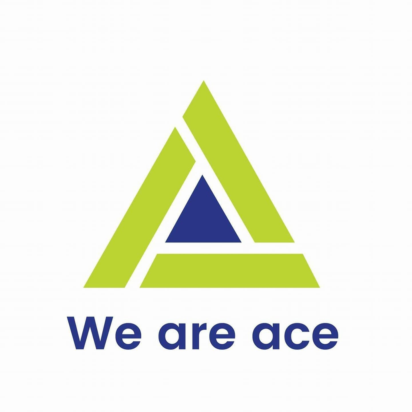 Ace Higher Secondary School logo