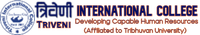 Triveni International College logo