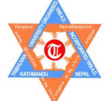 Pulchowk Campus logo