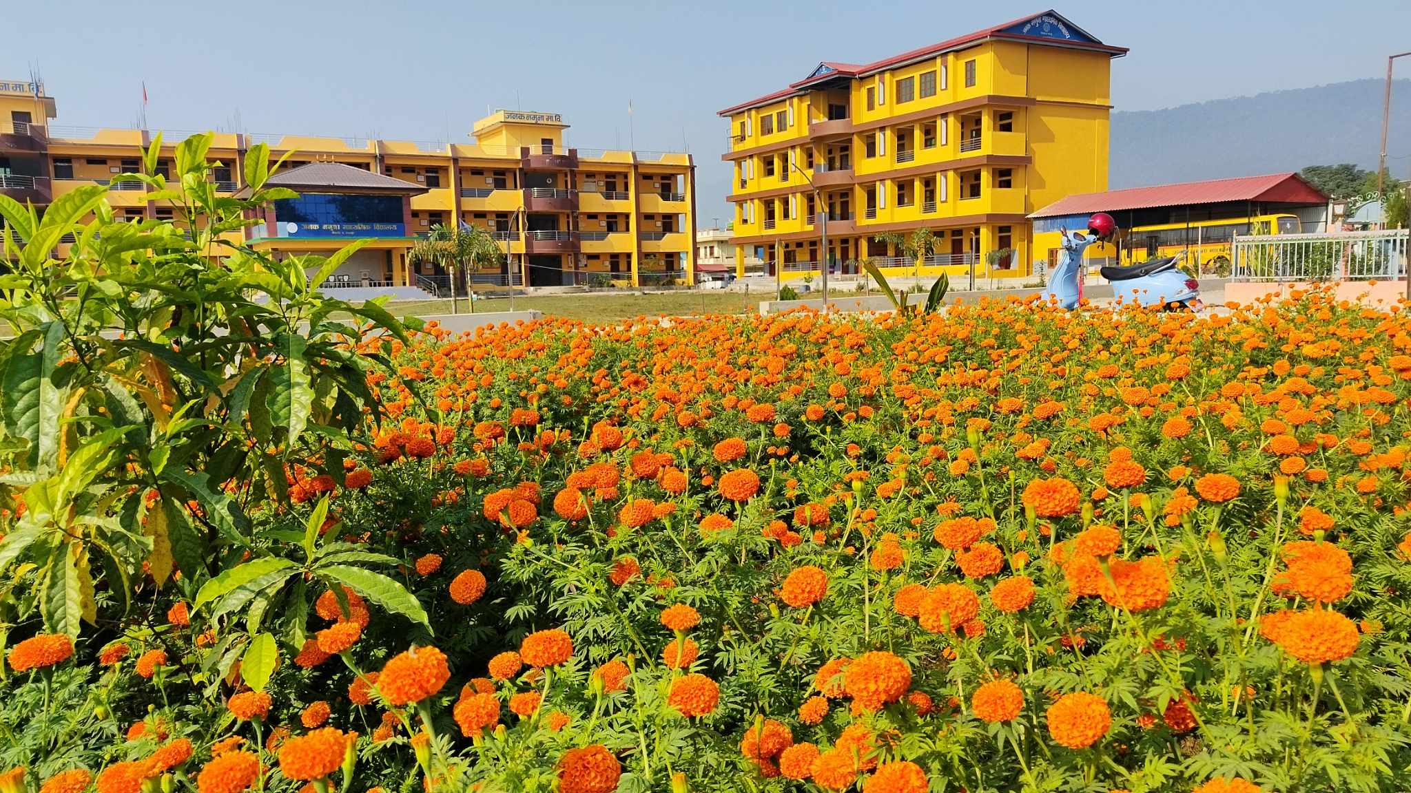 Janak Secondary School campus