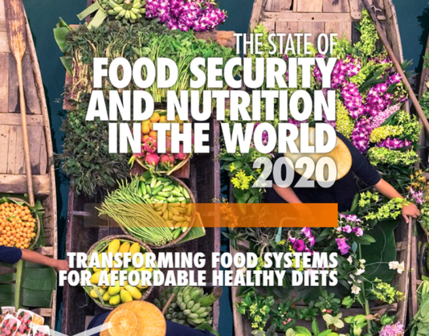 CAFODAT College gallery image 1